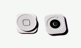 Кнопка (толкатель) "Home" для iPhone 5 (белый)
