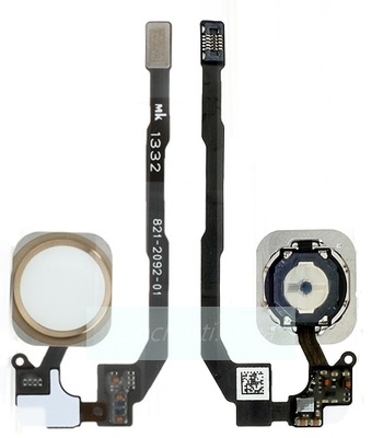 Шлейф для iPhone 5S + кнопка меню (Home) и золотая пластиковая накладка, оригинал (Китай)