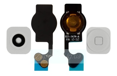 Шлейф для iPhone 5 + кнопка Home в сборе с резиновым фиксатором белая, ориг
