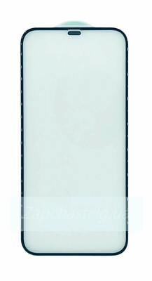 Защитное стекло с сеткой динамика для iPhone X/Xs/11 Pro Черный